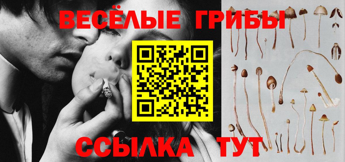 Псилоцибиновые грибы мухоморы Сегежа